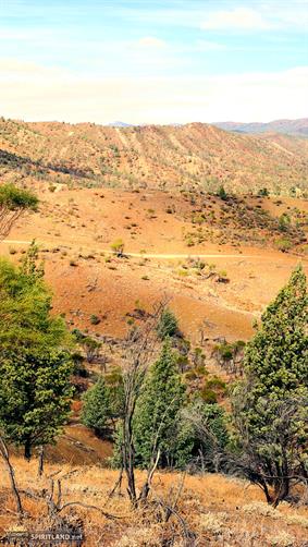 Flinders Ranges NP, SA. 
